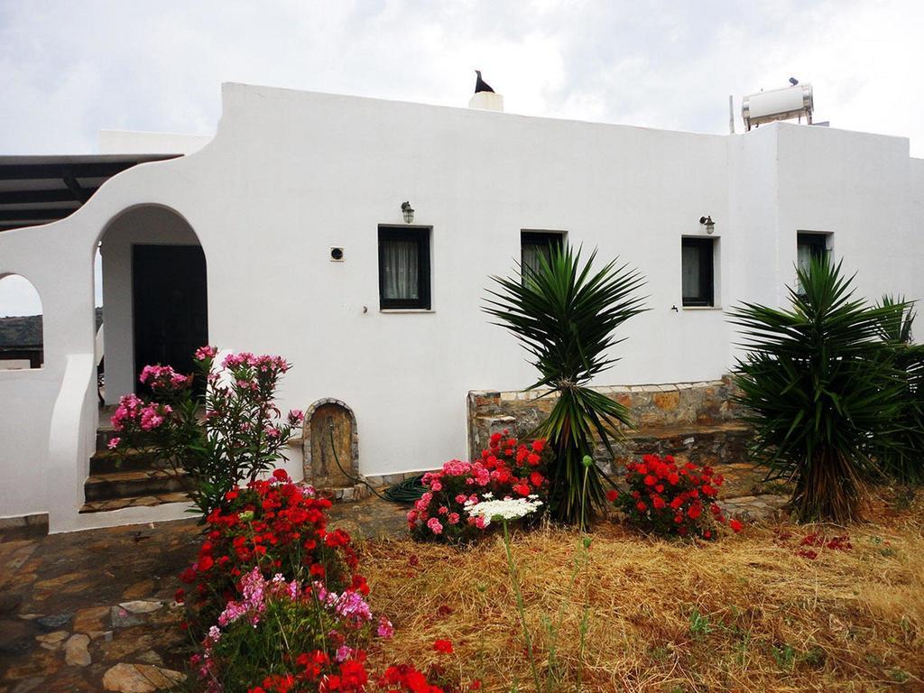 Thomas Apartments Katapola - Chora Cameră foto
